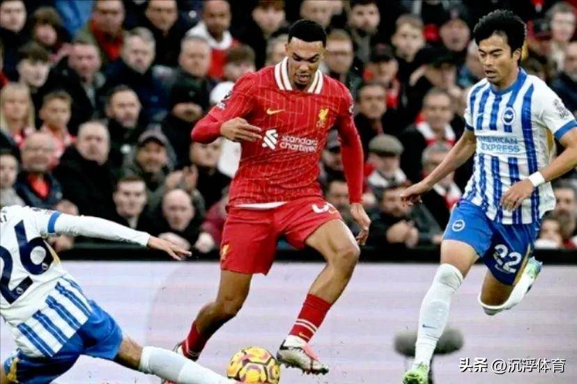 成都蓉城提莫莱切特